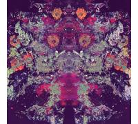 Emilie & Ogden 10,000 (Vinyl) 12" Album (Importación USA)