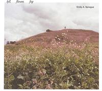 Emily A. Sprague Hill, Flower, Fog (Vinyl) 12" EP