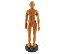 Eminchu Modelo de Acupuntura del Cuerpo Humano Diseño de Color Cobre para Enseñanza y Masaje - Disponible en Modelos Femeninos y Masculinos, Material de PVC, 53 Cm de (mujer)