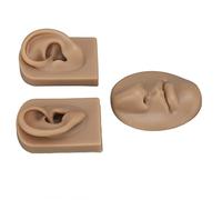 Eminchu Modelo de Nariz y Boca de Silicona 3D, Accesorios de Exhibición de Simulación para Práctica de Sutura de Perforación, para Estudiantes y Médicos, Modelo de Oreja de Silicona, de Práctica de