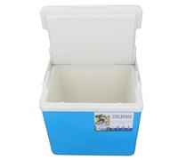 Eminchu Nevera con Aislamiento de 10 litros, Caja Fría de Viaje Portátil para Exteriores de Primera Calidad para Alimentos con Asas Resistentes Que Mantiene el Hielo hasta por 5 Días (Blue)