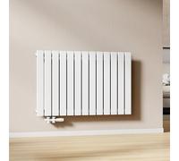 EMKE Radiador de Agua Caliente de Pared Blanco 630 × 1006 mm, Panel Simple,712W para 6 m², para Baño, Dormitorio o Salón, Montaje en Pared, sin Válvula