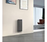 EMKE Radiador Pequeño 600x240 mm, Panel Ovalado Conexión Central Vertical de Diseño Tubular Una Sola Capa Antracita 177 Vatios