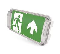 EMOS - Luz LED de seguridad NESSI 4 W con batería - Iluminación antipánico con botón de prueba manual y automático - Modo de emergencia de 3 horas - Montaje de montaje - Luz blanca fría - también para