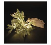 EMOS - Muérdago LED - Muérdago con 14 LED, blanco cálido - Temporizador de 6/18h, funciona con pilas (2 x AA), cable de 0,25 m, incluye bolsa de yute - Vida útil de 10.000 horas - Para interiores