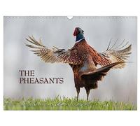 Emotional Moments: The pheasants. UK-Version (Wall Calendar 2026 DIN A3 landscape), CALVENDO 12 Month Wall Calendar: The courtship of the pheasants is ... GDT has held in this beautiful images.