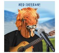 Emotional Rescue Postal Cumpleaños Divertida con Diseño de Safari Virtual, Ned Sheeran para él, Tarjeta de Cumpleaños Masculina