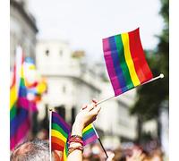 Emotional Rescue Tarjeta de felicitación LGBTQ, tarjeta de felicitación LGBTQIA, tarjetas del mes del orgullo gay, tarjeta de felicitación del orgullo, tarjetas de cumpleaños LGBTQ