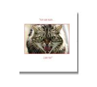 Emotional Rescue Tarjeta de Navidad, gato, 16,3 x 16,3 cm, multicolor