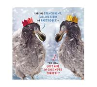 Emotional Rescue Tarjeta de Navidad Virtual Safari, Dodos con sombreros de Navidad, 16,3 x 16,3 cm, multicolor