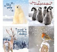 Emotional Rescue Tarjetas de Navidad, paquete múltiple, 12 tarjetas de Navidad, 4 diseños diferentes