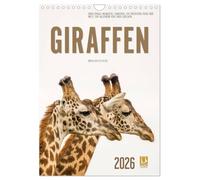 Emotionale Momente: Giraffen, die höchsten Tiere der Welt. (Wandkalender 2026 DIN A4 hoch), CALVENDO Monatskalender: Die Giraffen in der afrikanischen ... zu den größten landlebenden Säugetieren.