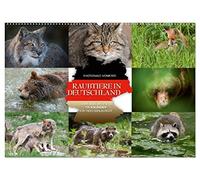 Emotionale Momente: Raubtiere in Deutschland (Wandkalender 2026 DIN A2 quer), CALVENDO Monatskalender: Aus tausenden Bildern hat der renommierte Tier- ... die Motive für diesen Kalender ausgesucht.