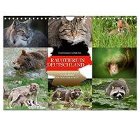 Emotionale Momente: Raubtiere in Deutschland (Wandkalender 2026 DIN A4 quer), CALVENDO Monatskalender: Aus tausenden Bildern hat der renommierte Tier- ... die Motive für diesen Kalender ausgesucht.