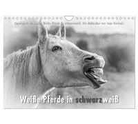 Emotionale Momente: Weiße Pferde in schwarzweiß. (Wandkalender 2026 DIN A4 quer), CALVENDO Monatskalender: Ingo Gerlach hat die weißen Pferde auf ... wurden dann in edles Scharzweiß umgewandelt.