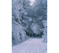 EMP North : The Long Roads Home: A Post-EMP Family Survival Novel