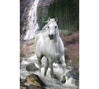 Empire 534781 - Póster de Caballo Blanco con Cascada (61 x 91,5 cm)