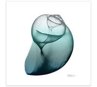 Empire Art Direct Listo para Colgar, Sala de Estar, Dormitorio y Oficina, Vidrio Templado, Azul, Blanco, 0.2 Pulgadas x 24 Pulgadas