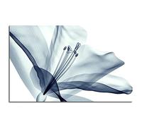 Empire Art Direct - Póster de pared de vidrio templado sin marco, panel de flores azules, impresión en lienzo, arte de pared para el hogar, 1 panel, decoración sin marco, 27 x 16 pulgadas