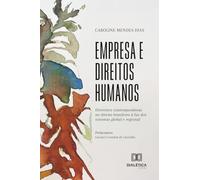 Empresa e Direitos Humanos: Diretrizes contemporâneas no direito brasileiro à luz dos sistemas global e regional