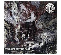 Empress AD - Still Life Moving Fast [Vinilo]