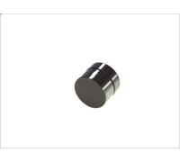 Empujador de válvula INA 420 0047 10 para AUDI A3 (8L1) 1.8 1996-2003