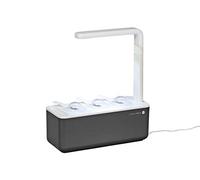 Emsa M5261800 Click & Grow Smart Garden 3 - Jardín Interior para 3 cápsulas de Hierbas, Color Gris