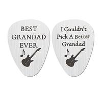 EMSea 2 púas de guitarra de repuesto para guitarra con palabras en inglés, accesorios de guitarra de acero inoxidable, 30 x 40 mm, estilo A, 2 piezas
