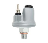 EMSea Sensor de Presión de Aceite 0065429417 para Coche Compatible con Benz Mercedes 124 190E W201