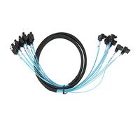 EMUKOEP Cable Mini SAS, Cable de Curva Recta 6 a 6 Transmisión Rápida de Velocidad de Gbps con Blindaje de Doble Grupo para Disco Duro SSD y (0,5 m/1, pies)