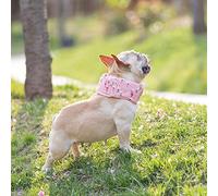 EMUKOEP Collar de Enfriamiento para Perros Ajustable Transpirable Reduce la Temperatura Corporal para Paseos Perros Lona (1 Uds. M)