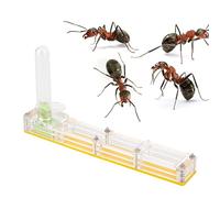 EMUKOEP Kit Hidratante Ligero de Acrílico para Granja de Hormigas con Torre de Agua para Experimentos Científicos para Niños, Color Azul (Nido Amarillo)