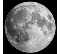 EMUKOEP Rompecabezas Educativo para Niños, Juguete de Movimientos Lógicos con Capacidad Cognitiva del Estado de Luna Llena, Papel para Tiempo Libre (314.00)