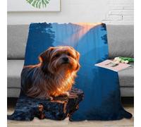 EMYXPAQM Manta Franela Shih Tzu, Manta De Valle Bosque para Sofá Y Cama, Muy Suave Y Cálida para Cama, Sofá, Sala De Estar, 50x60inch(127x152cm)