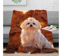 EMYXPAQM Manta Franela Shih Tzu, Manta para Sofá con Diseño De Rocky Valle, Suave Y Esponjosa para Niños, Adultos 50x60inch(127x152cm)