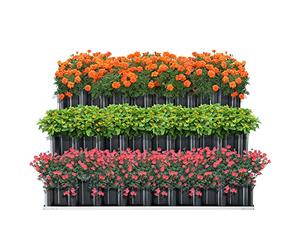 [en.casa] Arriate de Altura Escalonado de Jardín Huerto Urbano para Cultivos Jardinera de 3 Niveles Exterior 118 x 118 x 60 cm Gris Antracita