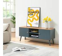 [en.casa] Mueble de TV Reyljand con 2 Compartimentos Abiertos y 2 Cerrados con Puerta Mesa de TV Mueble de Salón con Tablero Rectangular 120 x 35 x 50 cm - Gris/Efecto Roble