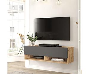 [en.casa] Mueble TV Suspendido con Espacio de Almacenaje Mesa Tele de Pared con Puerta y 2 Estantes Aglomerado 100 x 32 x 30 cm Roble Rústico/Antracita