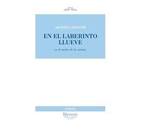 En el laberinto llueve: (o en el sueño de la razón: 292 (DEVENIR POESÍA)