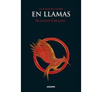 En llamas