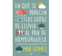 En Que Se Parecen Las Gotas De Lluvia Al Pan De Hamburguesa