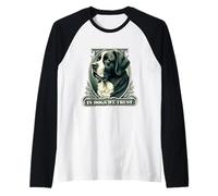 En San Bernardo confiamos en un divertido perro San Bernardo vintage Camiseta Manga Raglan