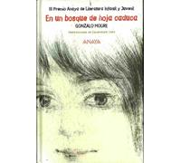 En Un Bosque De Hoja Caduca