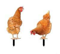 Encantadora escultura acrílica de pollo que mejora tu espacio al aire libre con esta decoración única (combinación)