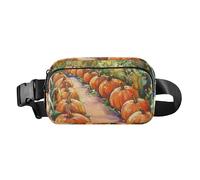 Encantadora riñonera con diseño de arcoíris para hombres y mujeres, pequeña bolsa de pecho con correa ajustable para ciclismo, Planta de camino de calabazas, 1 size