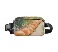 Encantadora riñonera con diseño de arcoíris para hombres y mujeres, pequeña bolsa de pecho con correa ajustable para ciclismo, Camino de calabazas, 1 size
