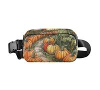 Encantadora riñonera con diseño de arcoíris para hombres y mujeres, pequeña bolsa de pecho con correa ajustable para ciclismo, Bonito camino de jardín de calabazas, 1 size