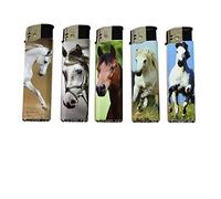 Encendedor, juego de5 encendedores eléctricos y electrónicos recargables Encendedores recargables originales decorados a caballo para encender cigarrillos, cigarros o velas, 2 diseños por idea de rega