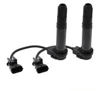 Encendido 0040104002 0040104006-113791-2N Accesorios Bobina Encendido para Benelli 899 1130 1130K TNT1130 MV800 YAOSONG ZS377