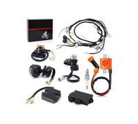 Encendido de Caja CDI Arnés de Cables, Bobina de Encendido, Interruptor de Manillar Izquierdo, Encendedor, rectificador de relé CDI, Kit Completo para Yamaha para Warrior YFM 350 X